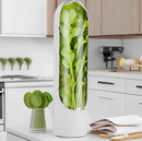 Recipiente para Conservação de Ervas e Legumes