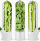 Recipiente para Conservação de Ervas e Legumes