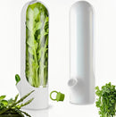 Recipiente para Conservação de Ervas e Legumes